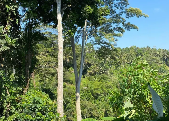 山林小屋 Vishnu - Jungle Retreat With Shared Pool - B
