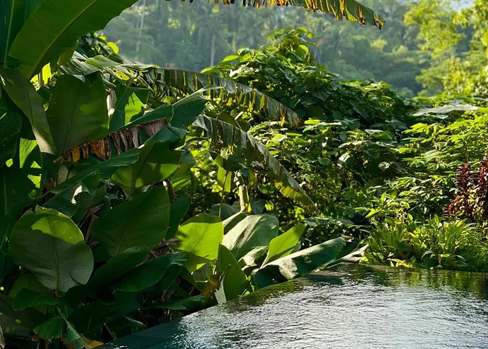 山林小屋 Vishnu - Jungle Retreat With Shared Pool - B 乌布