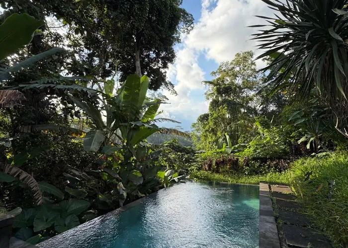 Vishnu - Jungle Retreat With Shared Pool - B *